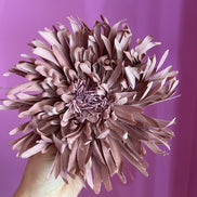 Dalia Fiore rosa antico