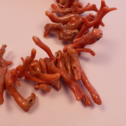 Collezione Mediterranea - Collana di Corallo rosso naturale e cuore corno